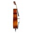 Student Cello FPVC13